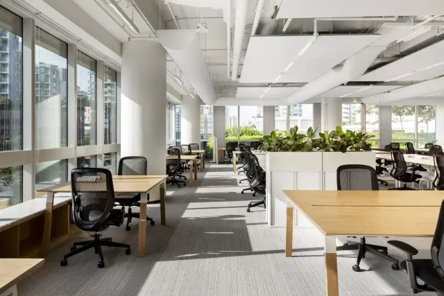 OFFICE SUITES